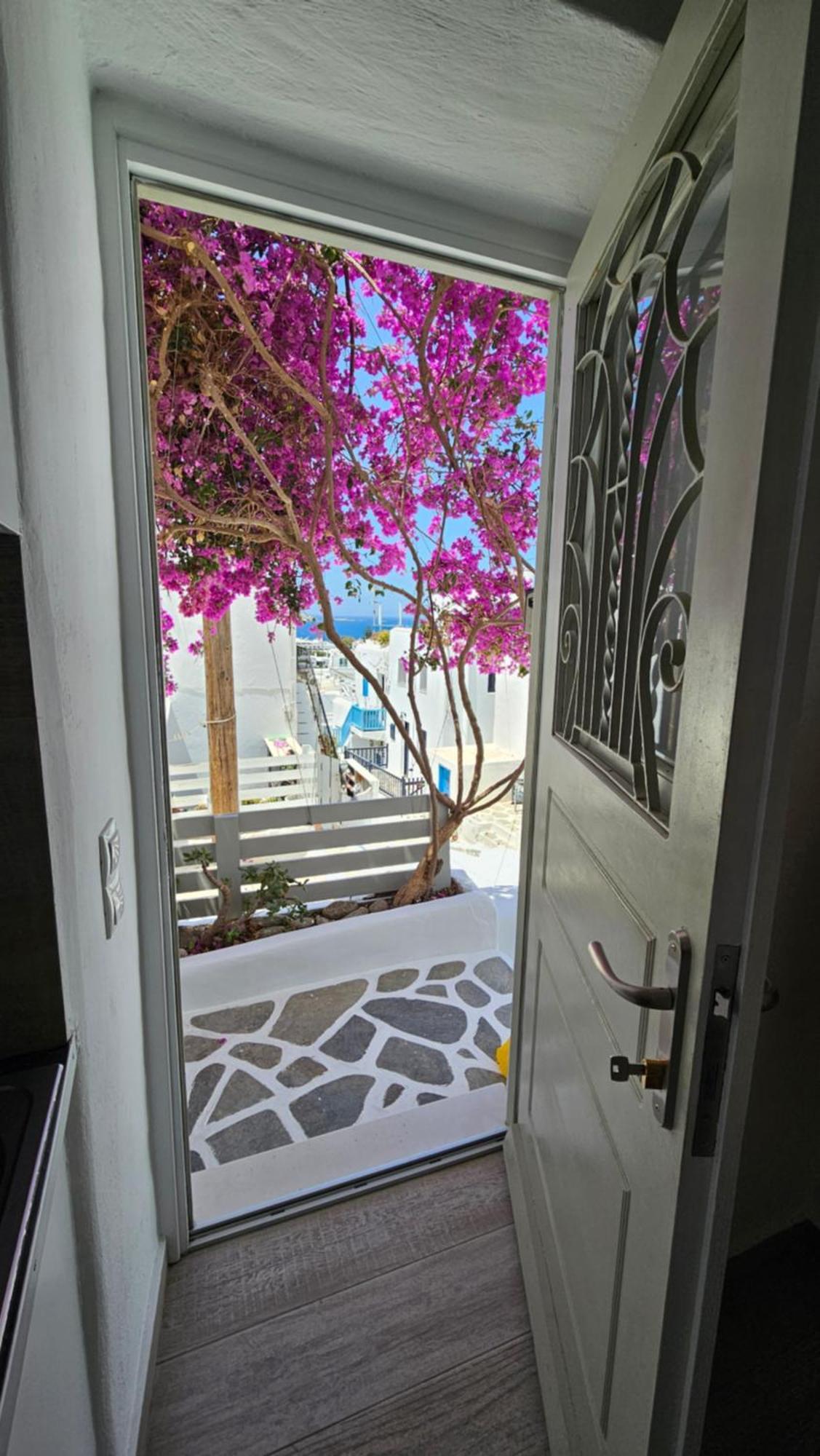 Eleanna's Mykonos 2*